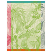 Tea Towel Équateur Perroquet - Le Jacquard...