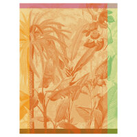 Tea Towel Équateur Toucan - Le Jacquard...