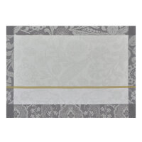 Coated placemats (2x Set) Voyage Iconique Zinc 36x50 cm...