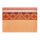 Coated placemats (2x Set) Mumbai Marigold 36x50 cm cotton - Le Jacquard Français